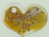 art: 766
descr.: pedente cuore argento oro 
price euro = 20